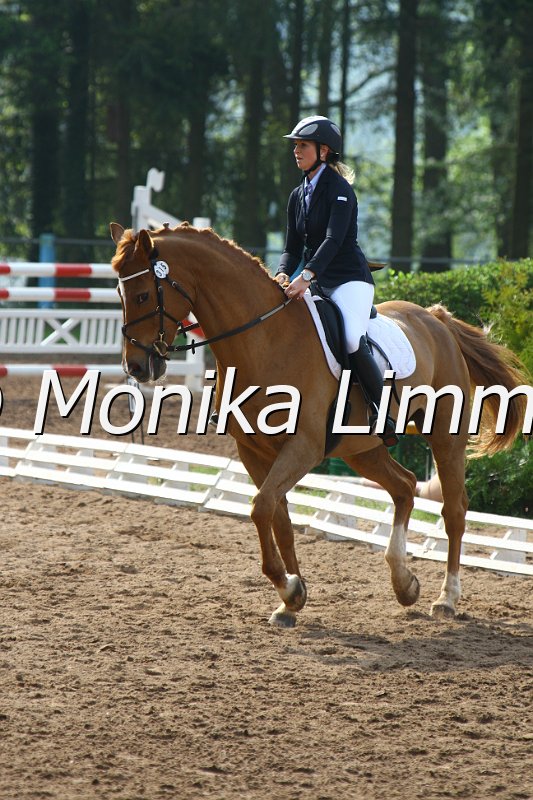 005L3279_Rubber Duck_Dressur A.JPG